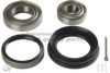NISSA 0092143510 Wheel Bearing Kit